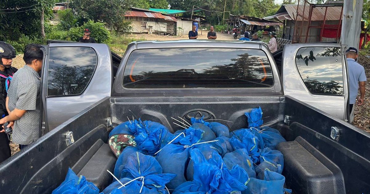 Tailande sulaikyti du vyrai, gabenę dešimtis beždžionių ir narkotikus