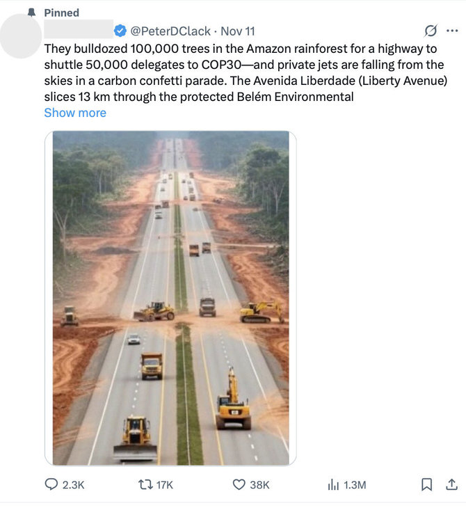 Ekrano nuotr. iš „Facebook“/Vienas „X“ įrašas apie medžių kirtimą Amazonijoje peržiūrėtas daugiau nei 1,3 mln. kartų