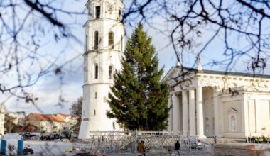 Vilniaus centre jau stovi Kalėdų eglė: kaip sostinė pasipuoš šiemet?