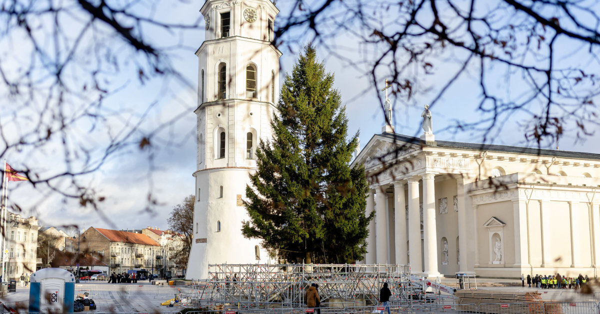 Vilniaus centre jau stovi Kalėdų eglė: kaip sostinė pasipuoš šiemet?