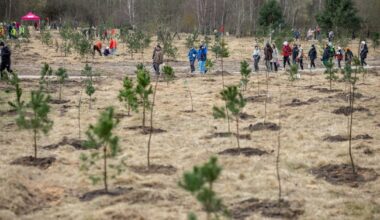Vilniuje baigiant sodinti mišką Stepono Batoro gatvėje – žaliųjų protestas prieš miesto savireklamą