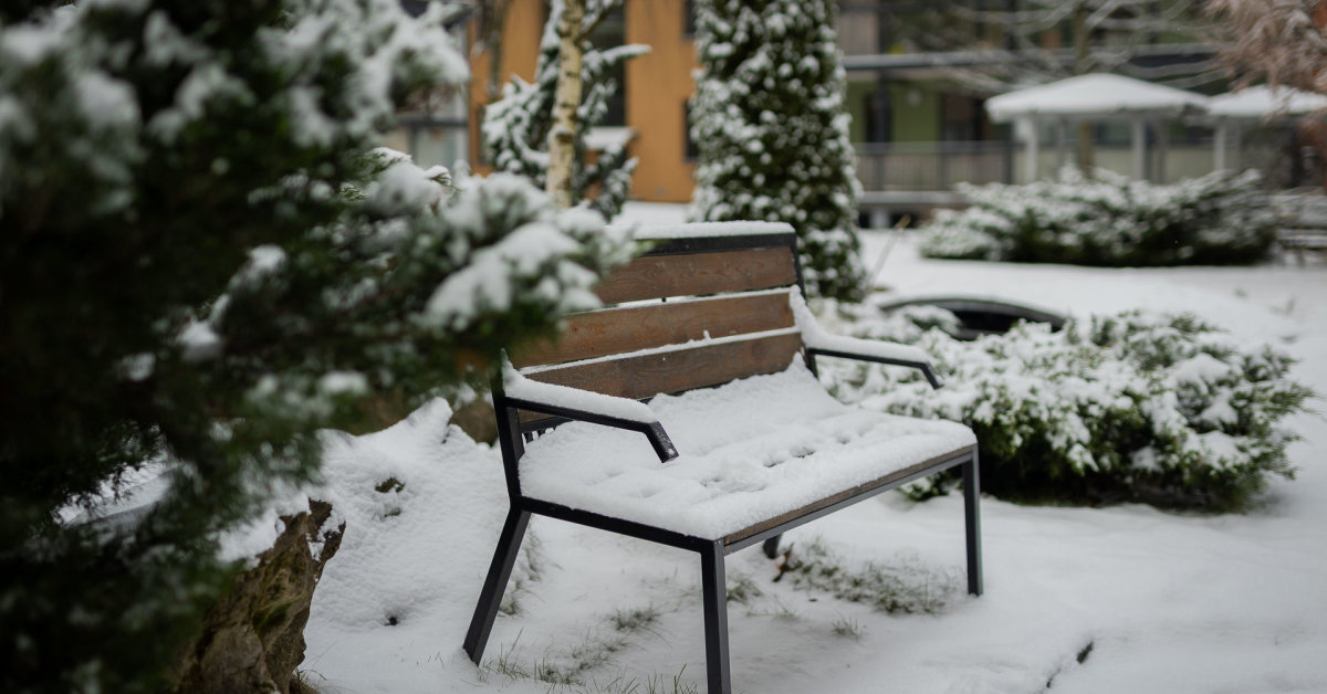 Šalčiausia naktis buvo ne Varėnoje: viename Lietuvos mieste termometrai rodė dar mažiau