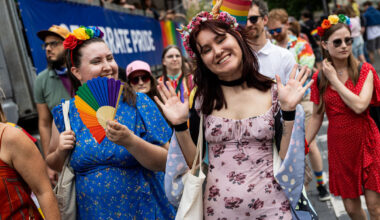 Nesulaukę ministerijos iniciatyvos, partnerystės projektą registravo parlamentarai: kas naujo numatoma?