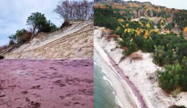 Violetinės spalvos smėlis Baltijos jūros paplūdimyje tapo netikėta turistų atrakcija