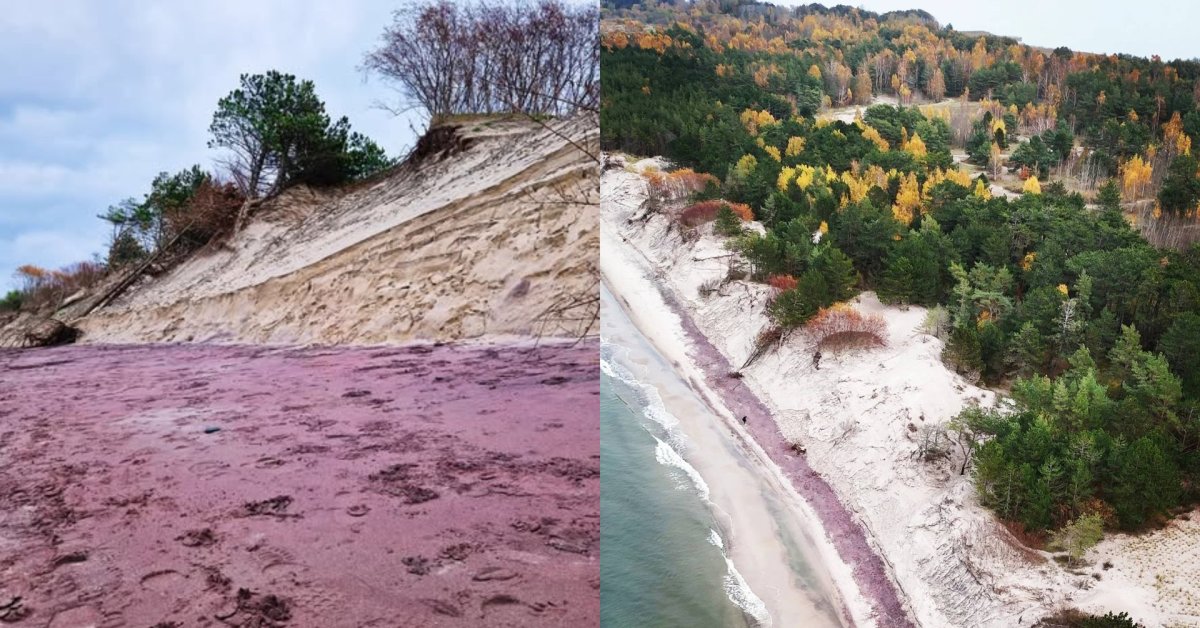 Violetinės spalvos smėlis Baltijos jūros paplūdimyje tapo netikėta turistų atrakcija