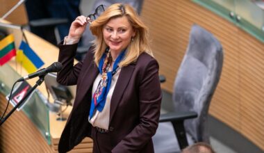 Tamašunienė: kitąmet planuojama įsteigti partnerystės registrą tos pačios lyties asmenims