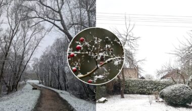 Laukiantiems sniego sinoptikai turi žinių: štai kada snigs ir pustys