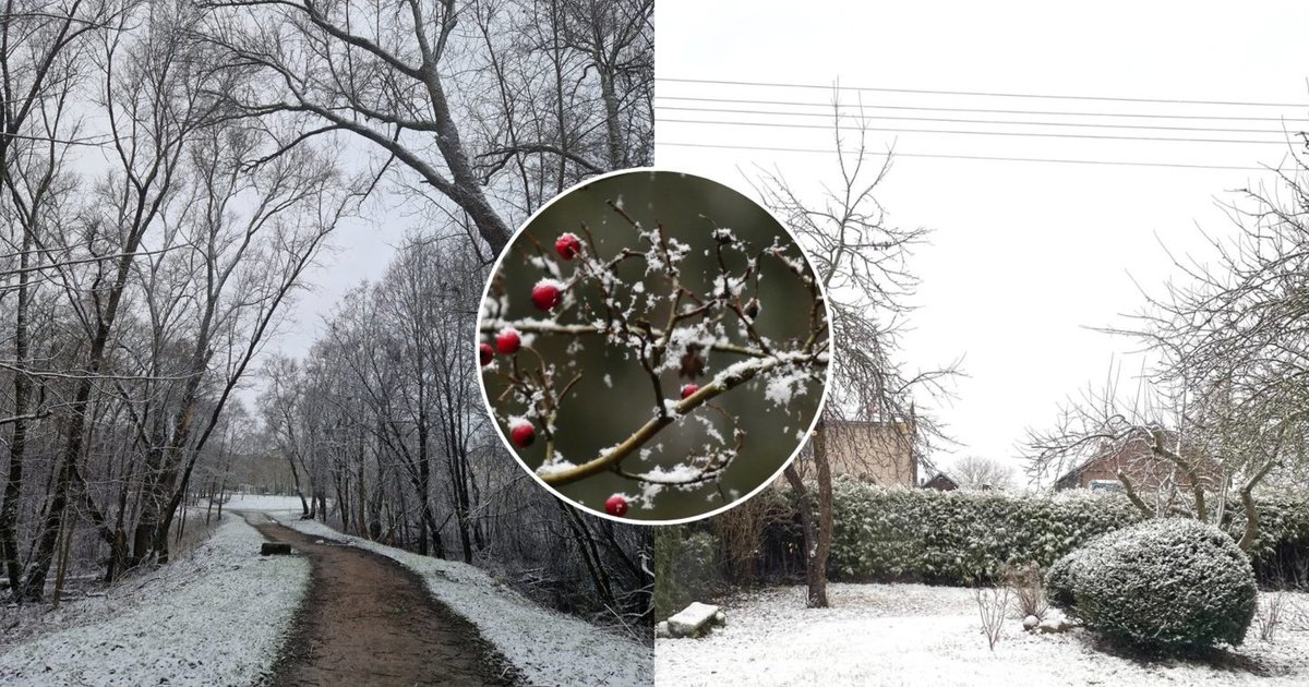 Laukiantiems sniego sinoptikai turi žinių: štai kada snigs ir pustys