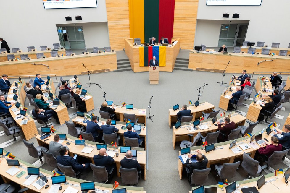 Seimas (nuotr. R. Riabovo/BNS)