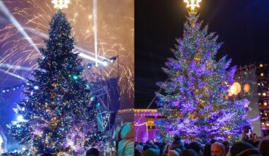 Kuri Klaipėdos žaliaskarė Jums patiko labiau?