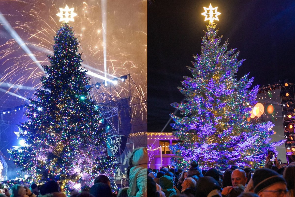 Kuri Klaipėdos žaliaskarė Jums patiko labiau?