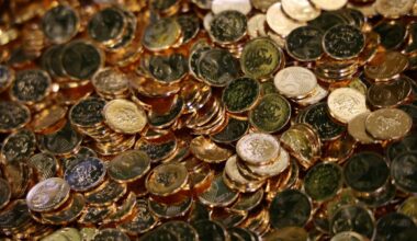 Bulgarijoje nuo sausio 1-ios įvedamas euras