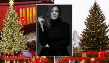 Pagyrė Vilniaus eglę, bet turi pastabų dekoracijoms