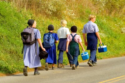 Amišai nesinaudoja daugeliu šiuolaikinio gyvenimo atributų ir laiko juos nuodėmingais, gyvena patys augindami maistą, važinėja arklių traukiamais vežimais, vengia naudotis elektra