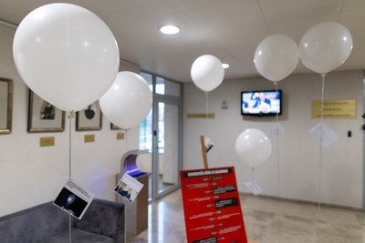 Gentvilas Seime Ruginienei pristatė oro balionų