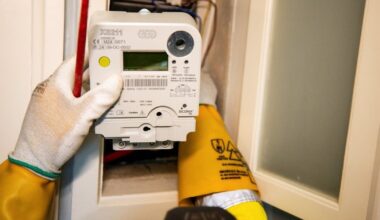 Dėl elektros ir dujų skaitiklių rodmenų – žinia gyventojams: geriau negudrauti?