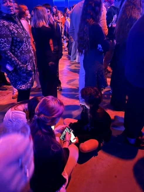 Nemo koncertas (nuotr. skaitytojo)