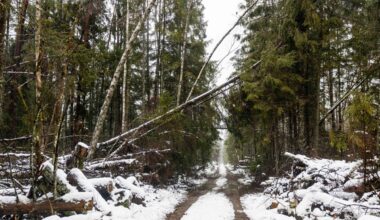 Parodė, kaip dabar atrodo škvalo nusiaubtas rezervatas