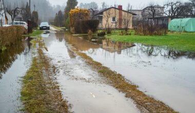 Panevėžio sodų bendrijoje „Ekranas-2“ – kritinė situacija