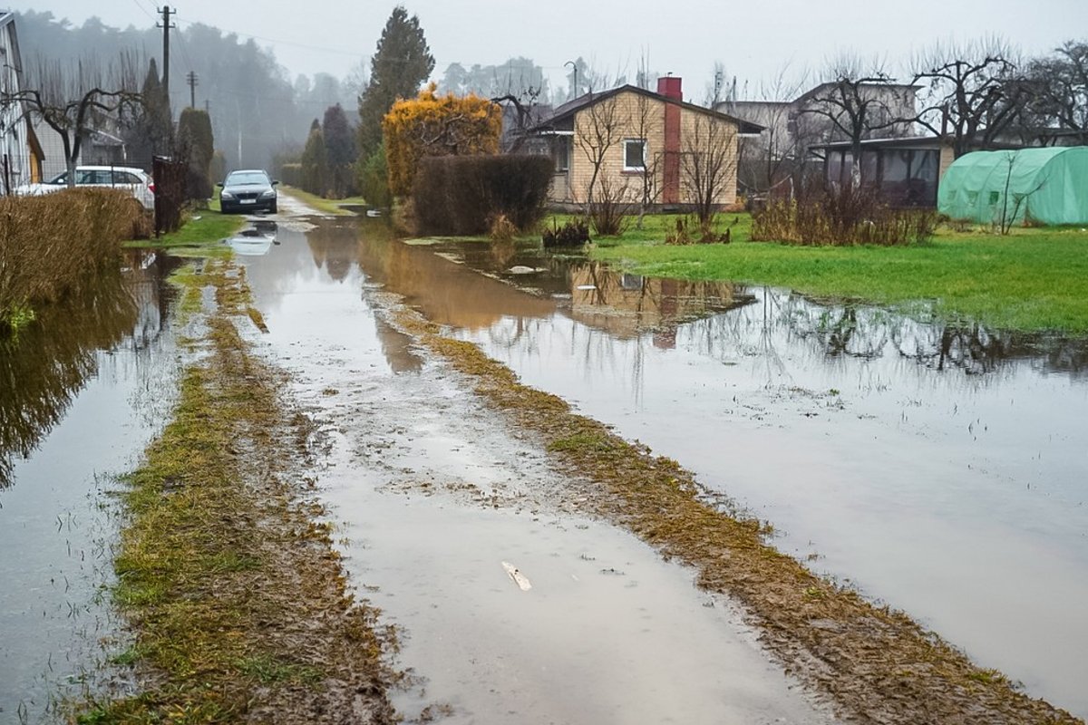 Panevėžio sodų bendrijoje „Ekranas-2“ – kritinė situacija