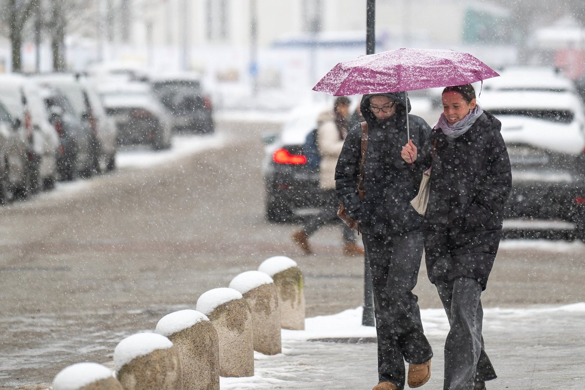 Sinoptikai: netrukus su smarkiu vėju atkeliaus sniegas