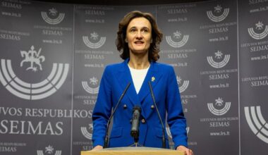 Čmilytė Nielsen: Ruginienė atsuko nugarą žmonėms, kurių interesus pati anksčiau gynė