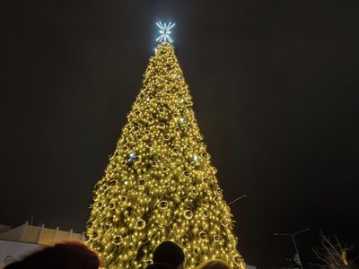 Ukmergės Kalėdų eglė