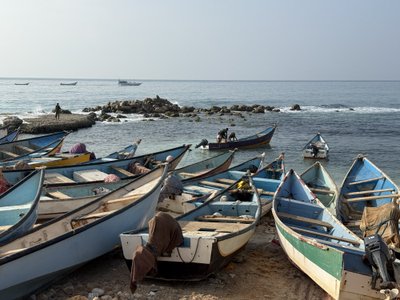 Algirdo Morkūno kelionė Sokotroje