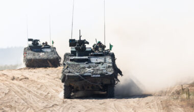 Sprendimas padarytas: paskelbta, kur bus brigados dydžio poligonas