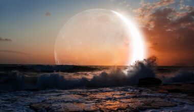 Gruodžio 20 d. horoskopas: apsivalymo ir senų nuostatų atsisakymo diena | Gyvenimas