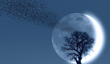 Šį vakarą patekės ypatinga jaunatis: štai ką ji atneš - 15min.lt