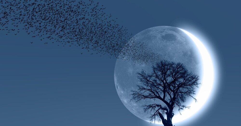 Šį vakarą patekės ypatinga jaunatis: štai ką ji atneš - 15min.lt