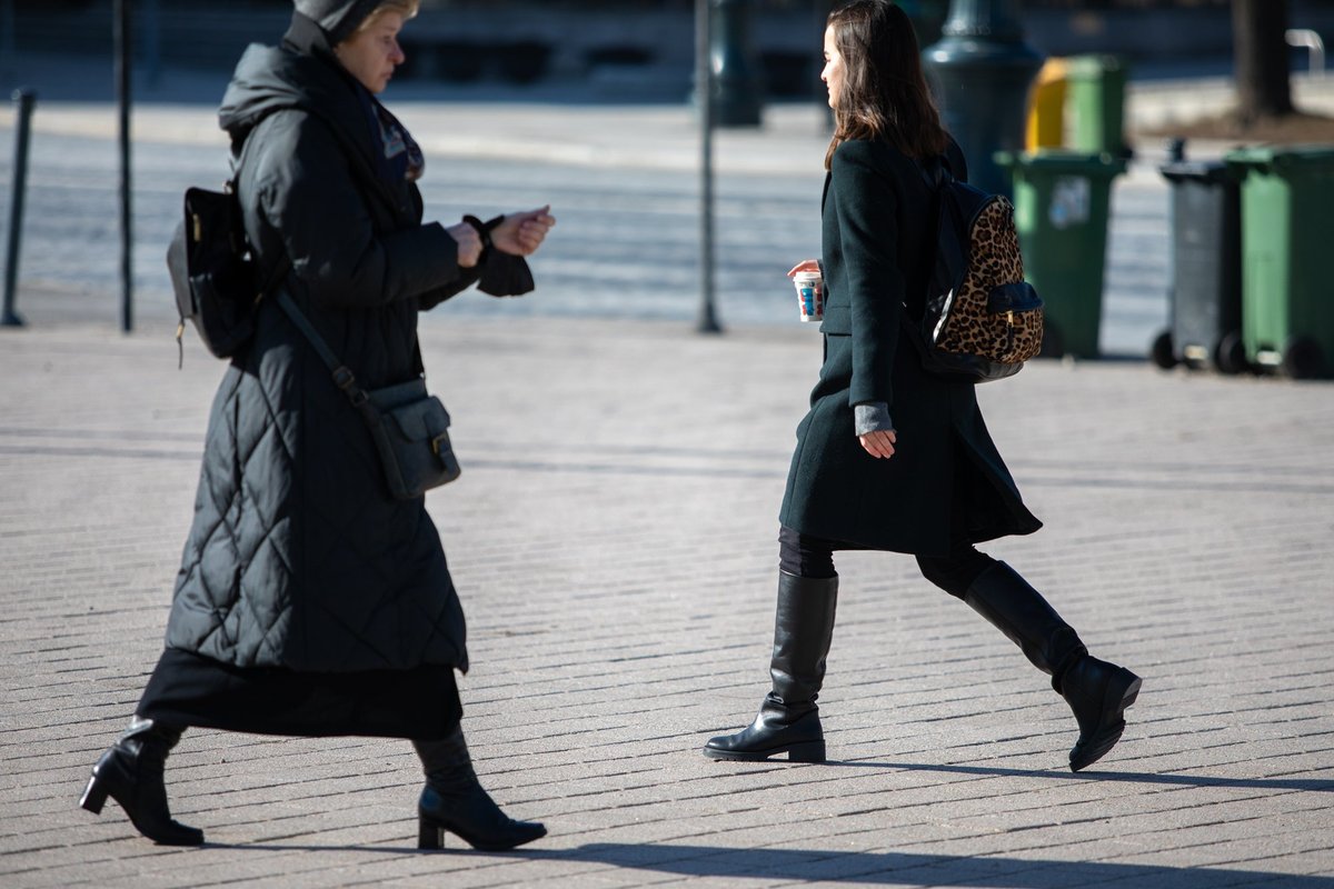 Tauragiškė nusistebėjo vilniečių skundais dėl algų