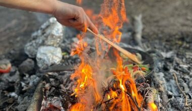 Joniškio rajone nuo laužo apdegė berniukas ir vyras