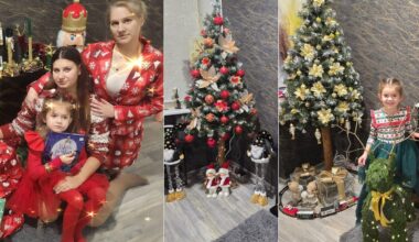 Živilė kasmet eglutę puošia vis kitaip neišleisdama nė cento