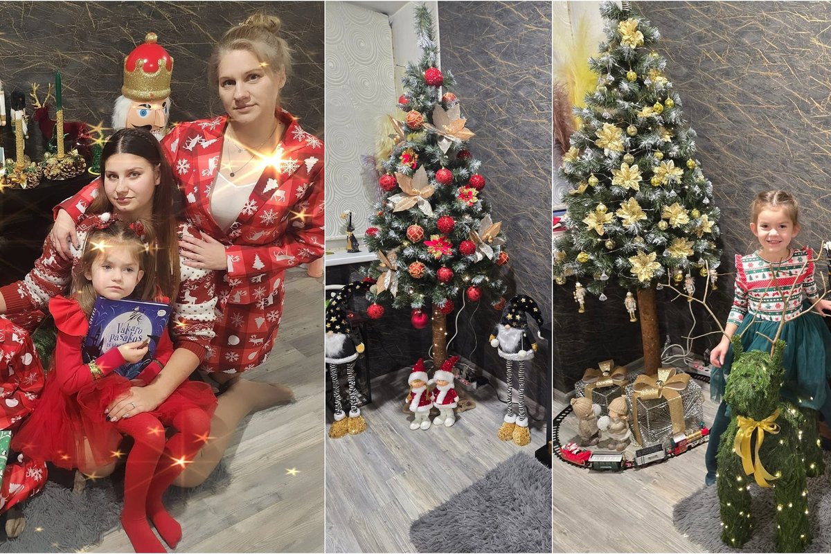 Živilė kasmet eglutę puošia vis kitaip neišleisdama nė cento