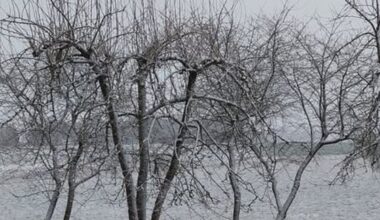 Kai kurie Lietuvoje sulaukė Kalėdų stebuklo: gali pasidžiaugti sniegu
