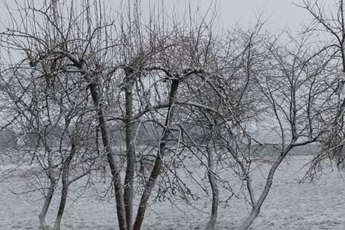 Kai kurie Lietuvoje sulaukė Kalėdų stebuklo: gali pasidžiaugti sniegu