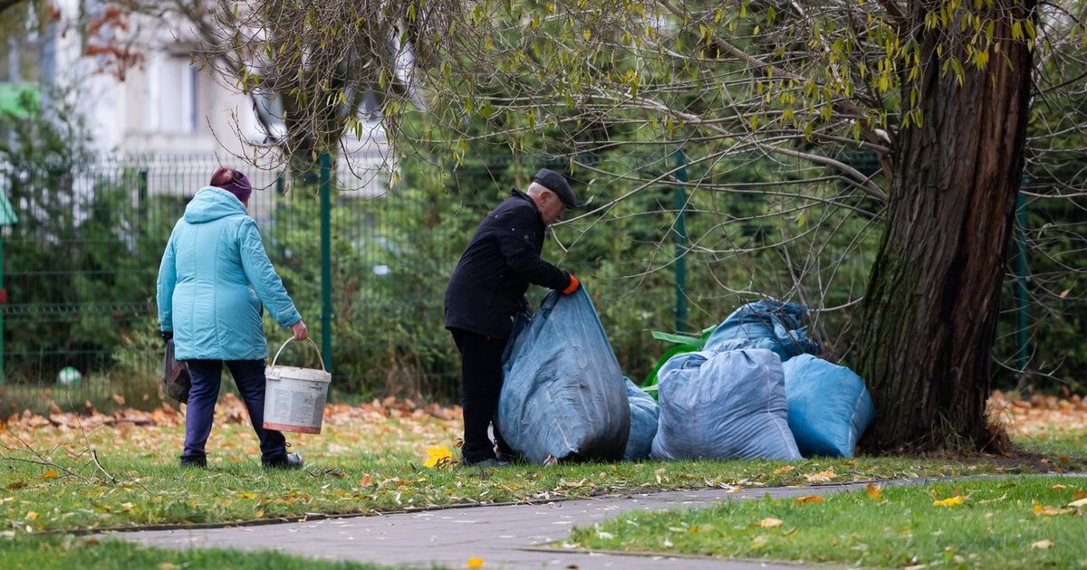 Iš „Sodros“ 40 eurų galima gauti be jokio prašymo: štai kam jie priklauso