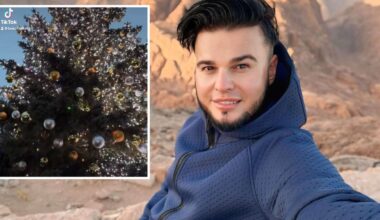 Vytenis Partikas neapsikentė pamatęs Jurbarko eglę: gėda man