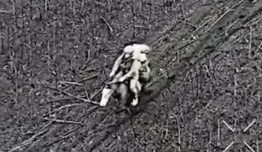 Vaizdo įrašą su rusų kariais pamatę ukrainiečiai: tikra beprotybė!