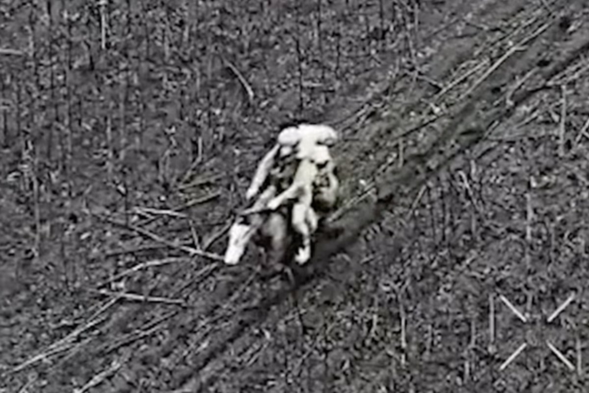 Vaizdo įrašą su rusų kariais pamatę ukrainiečiai: tikra beprotybė!