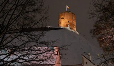 Sinoptikė: Naujuosius metus pasitiksime su sniegu - Delfi