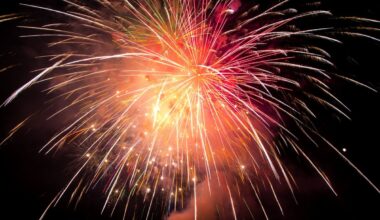 Vokietijos gydytojų asociacija ragina uždrausti privačius fejerverkus