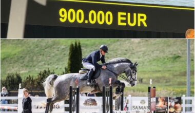 Vilniaus žirgynas už įspūdingą sumą pardavė žirgą: netoli ir šešių nulių zona