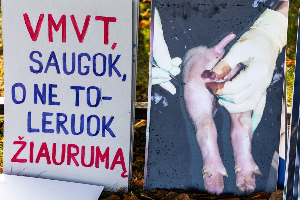 Trečiadienį prie VMVT būstinės – penktasis „Tuščių narvų“ protestas