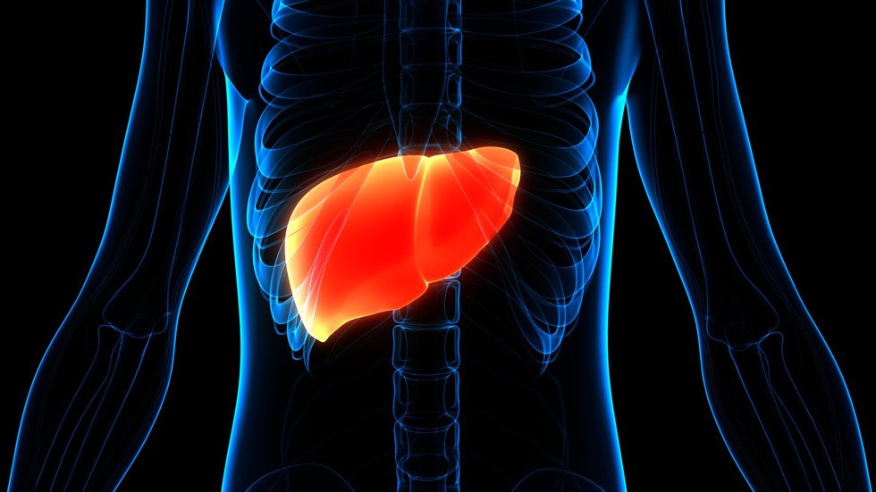 Kepenys (asociatyvi nuotr.) (nuotr. 123rf.com)