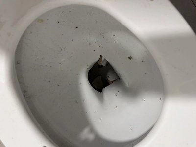 Jurbarke susprogdintas tualetas