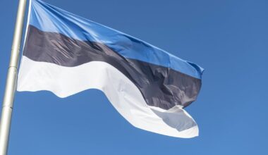 Estija pradėjo statyti bunkerius pasienyje su Rusija – stiprina sienos gynybą