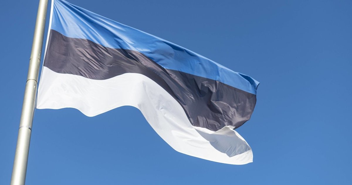 Estija pradėjo statyti bunkerius pasienyje su Rusija – stiprina sienos gynybą